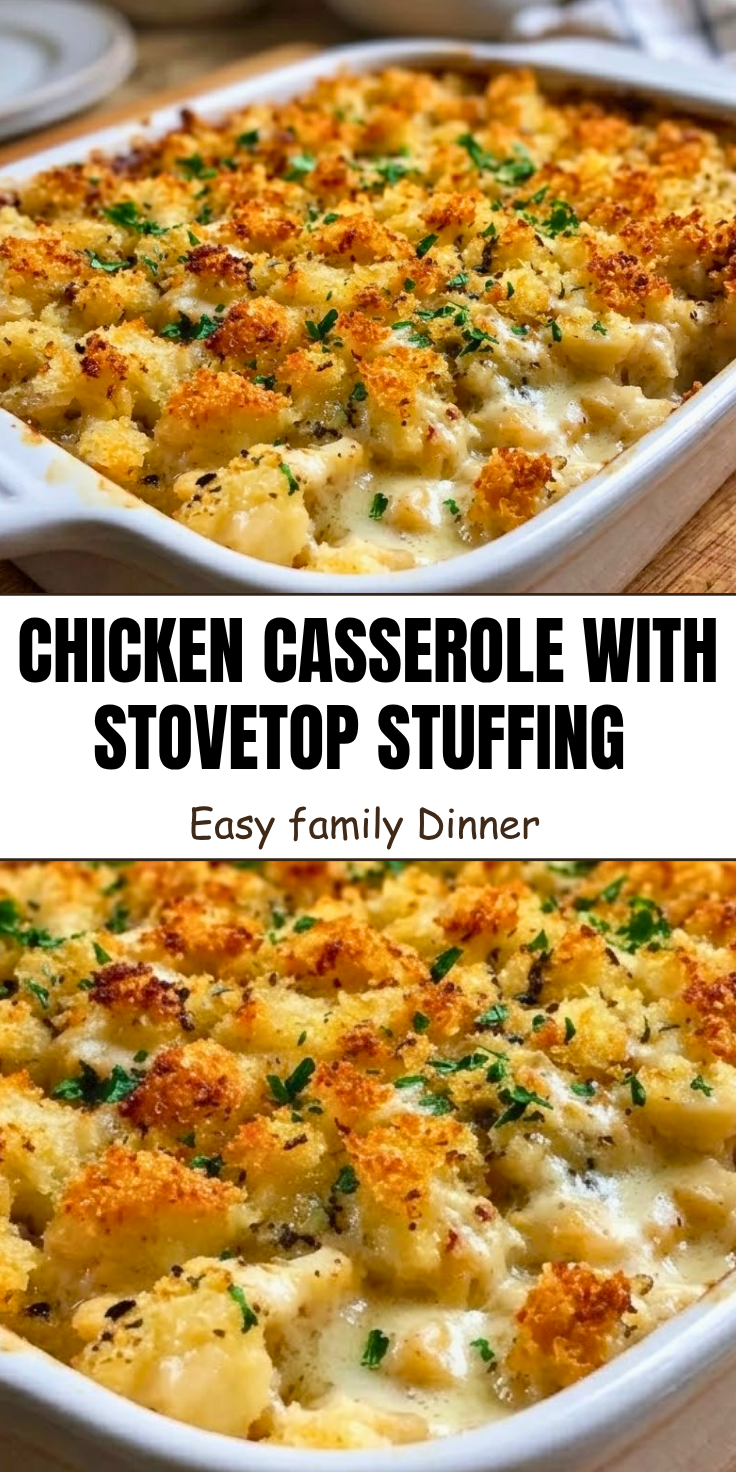 Dinners For Family Of 6