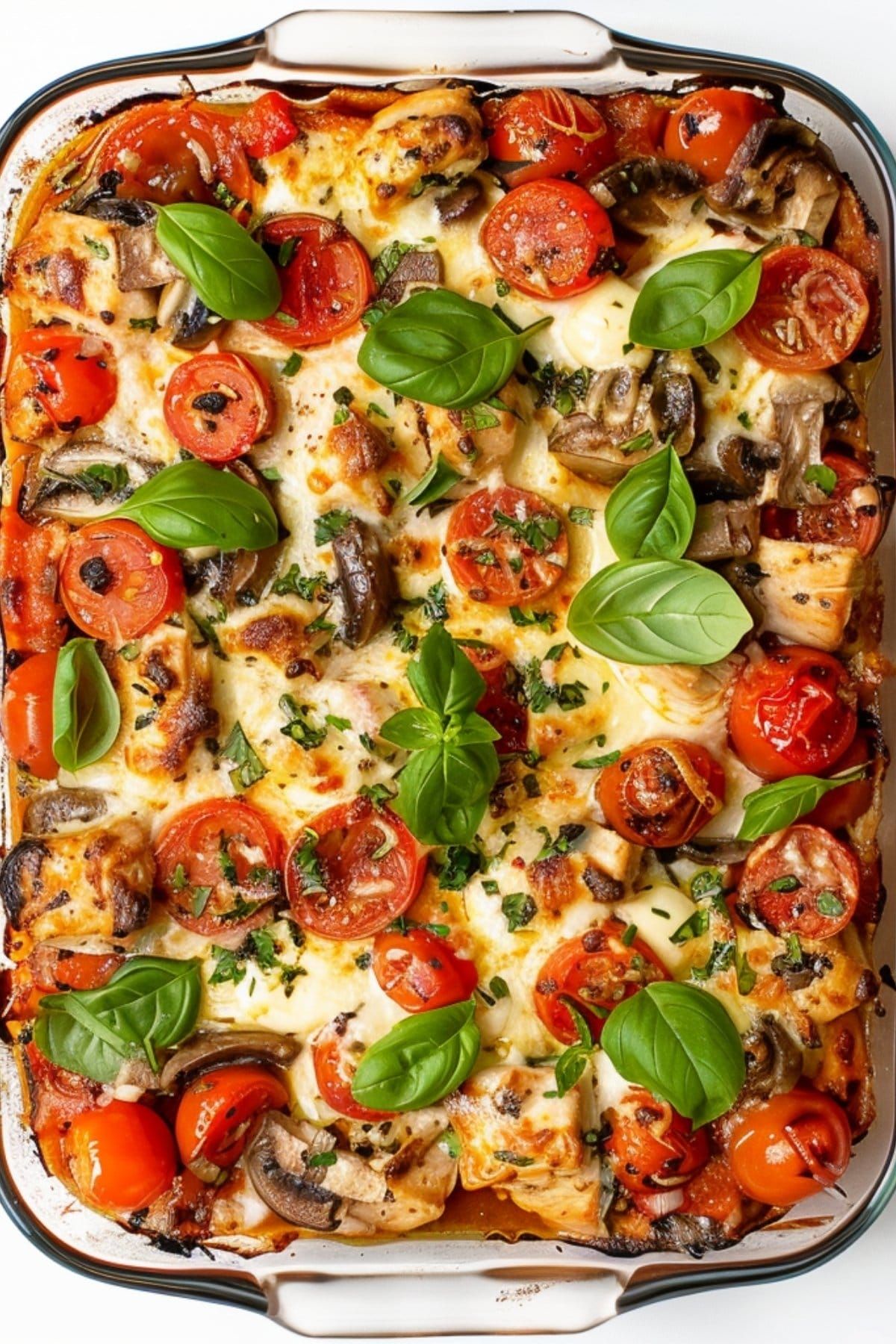 Healthy Mozzarella Recipes