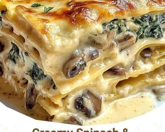 easy spinach lasagna recipe