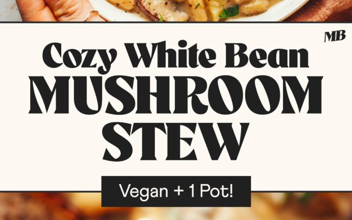 cozy white bean mushroom stew