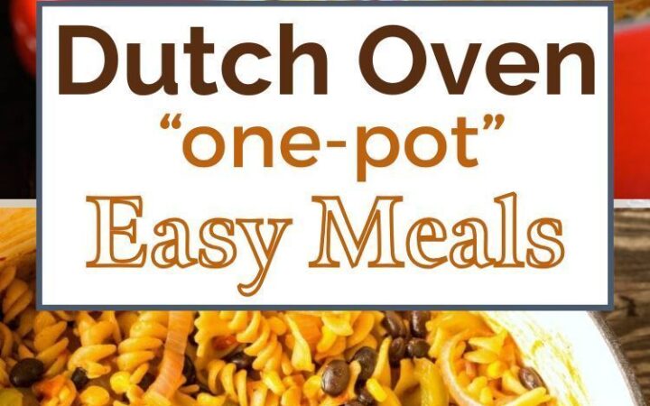 dutch oven stovetop chicken and rice