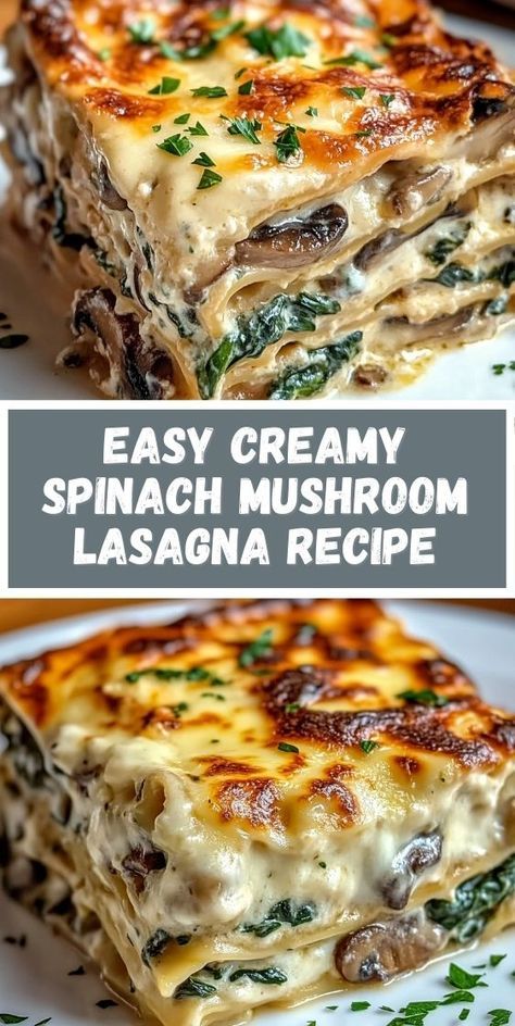 sausage and mushroom lasagna recipe