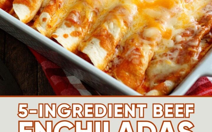 5 ingredient beef enchiladas