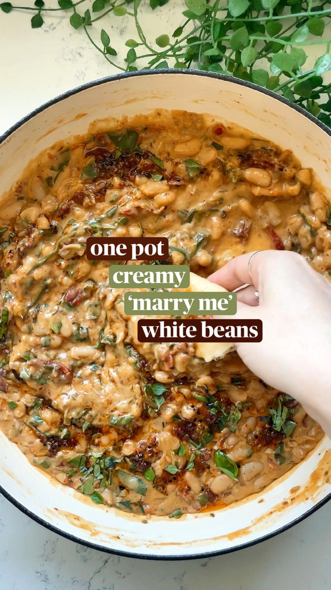 Hearty Lentil & Vegetable Stew